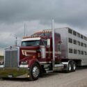 Berdex livestock trailer for Canada